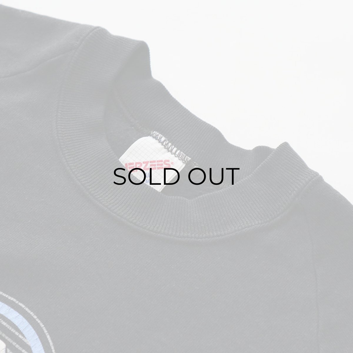 画像5: 〜90's JERZEES PRINT CREW NECK SWEAT "COLORADO ROCKY MOUNTAINS" (5)