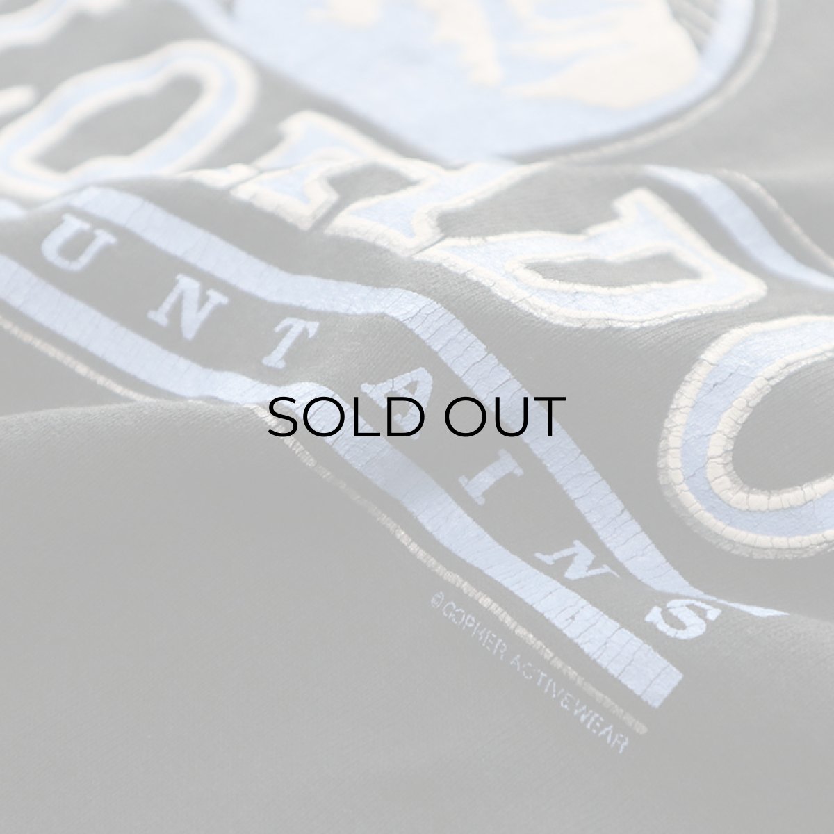 画像6: 〜90's JERZEES PRINT CREW NECK SWEAT "COLORADO ROCKY MOUNTAINS" (6)