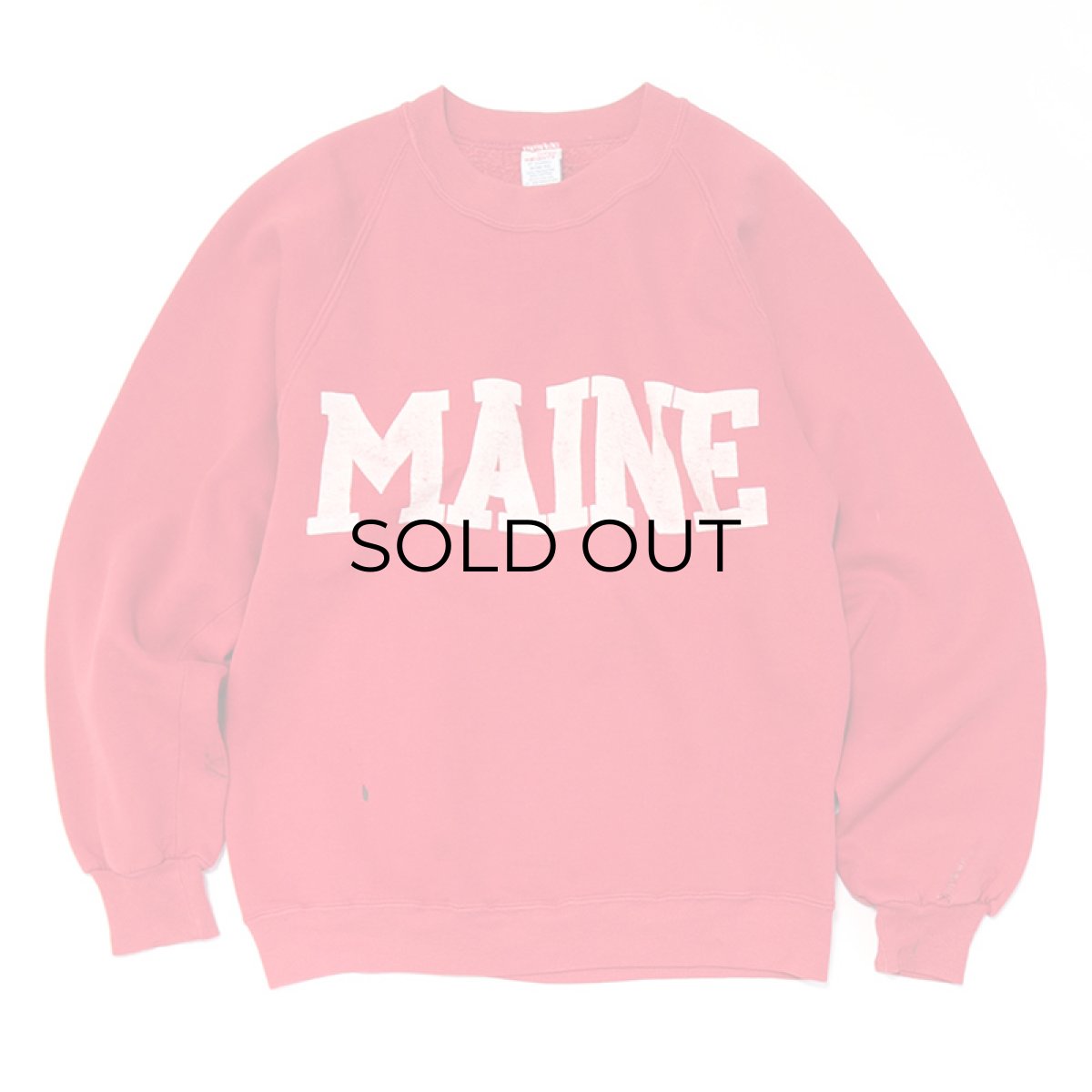 画像5: 80's SUPER WEIGHTS BY RUSSELL PRINT CREW NECK SWEAT "MAINE" (5)
