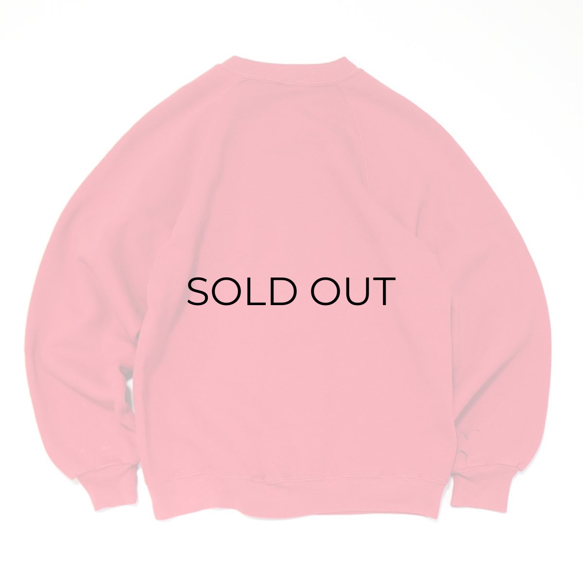 画像6: 80's SUPER WEIGHTS BY RUSSELL PRINT CREW NECK SWEAT "MAINE" (6)