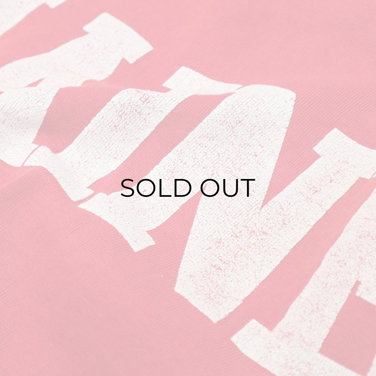 画像9: 80's SUPER WEIGHTS BY RUSSELL PRINT CREW NECK SWEAT "MAINE" (9)