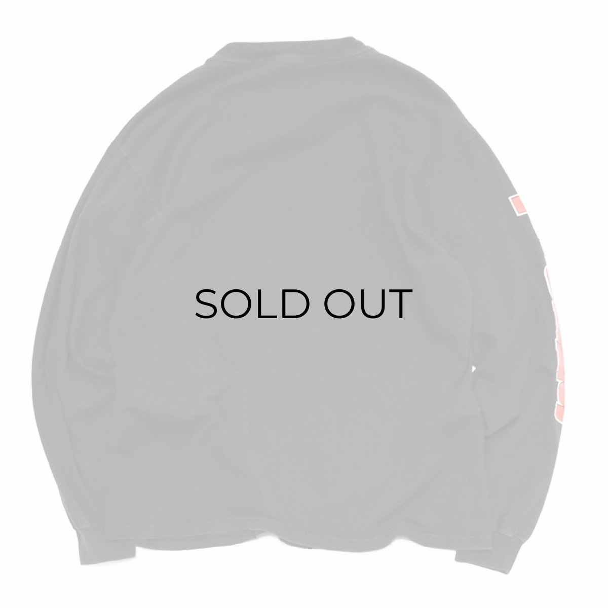 画像2: 90's-00's Hanes COTTON PRINT L/S TEE "BRENTSVILLE TRACK" (2)