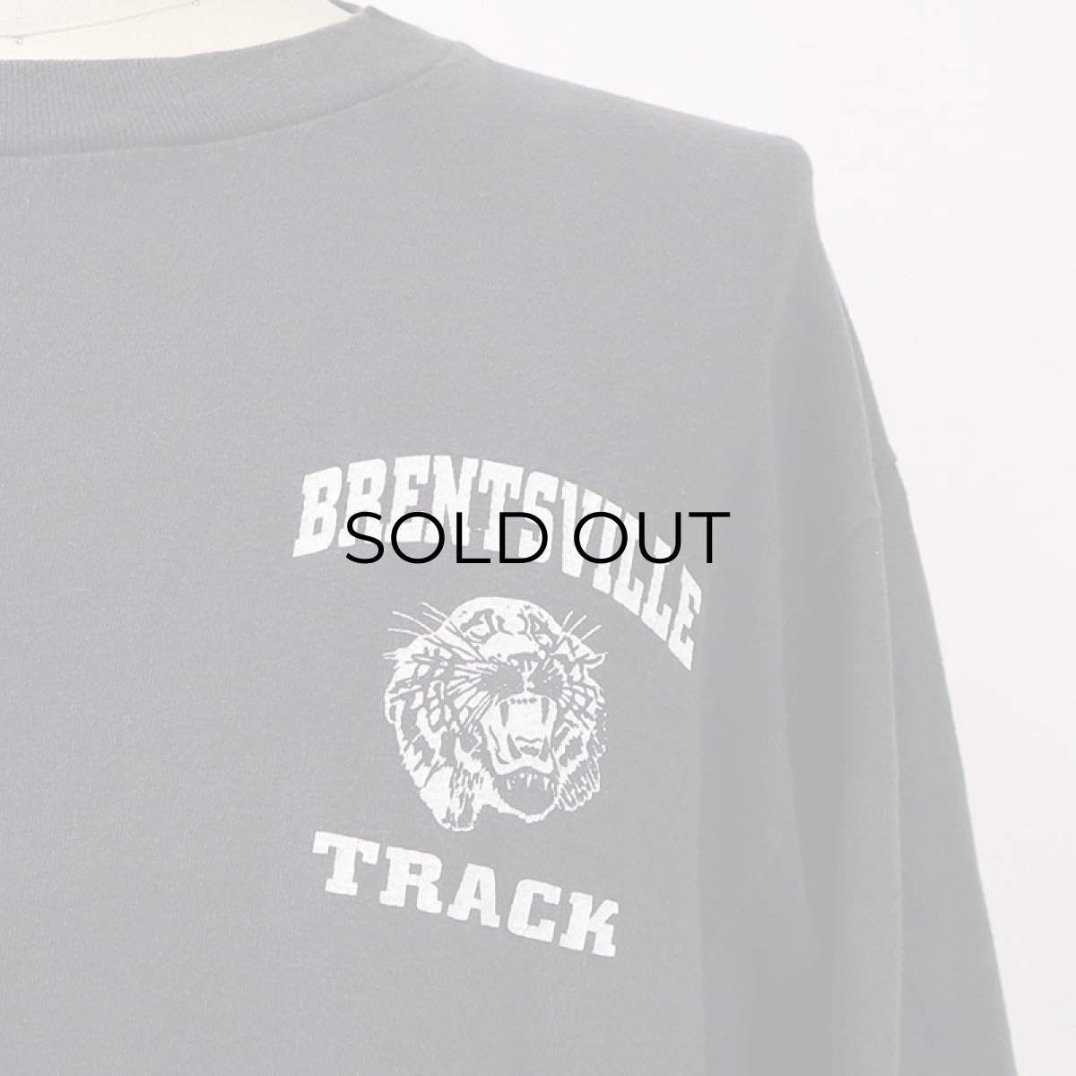 画像10: 90's-00's Hanes COTTON PRINT L/S TEE "BRENTSVILLE TRACK" (10)