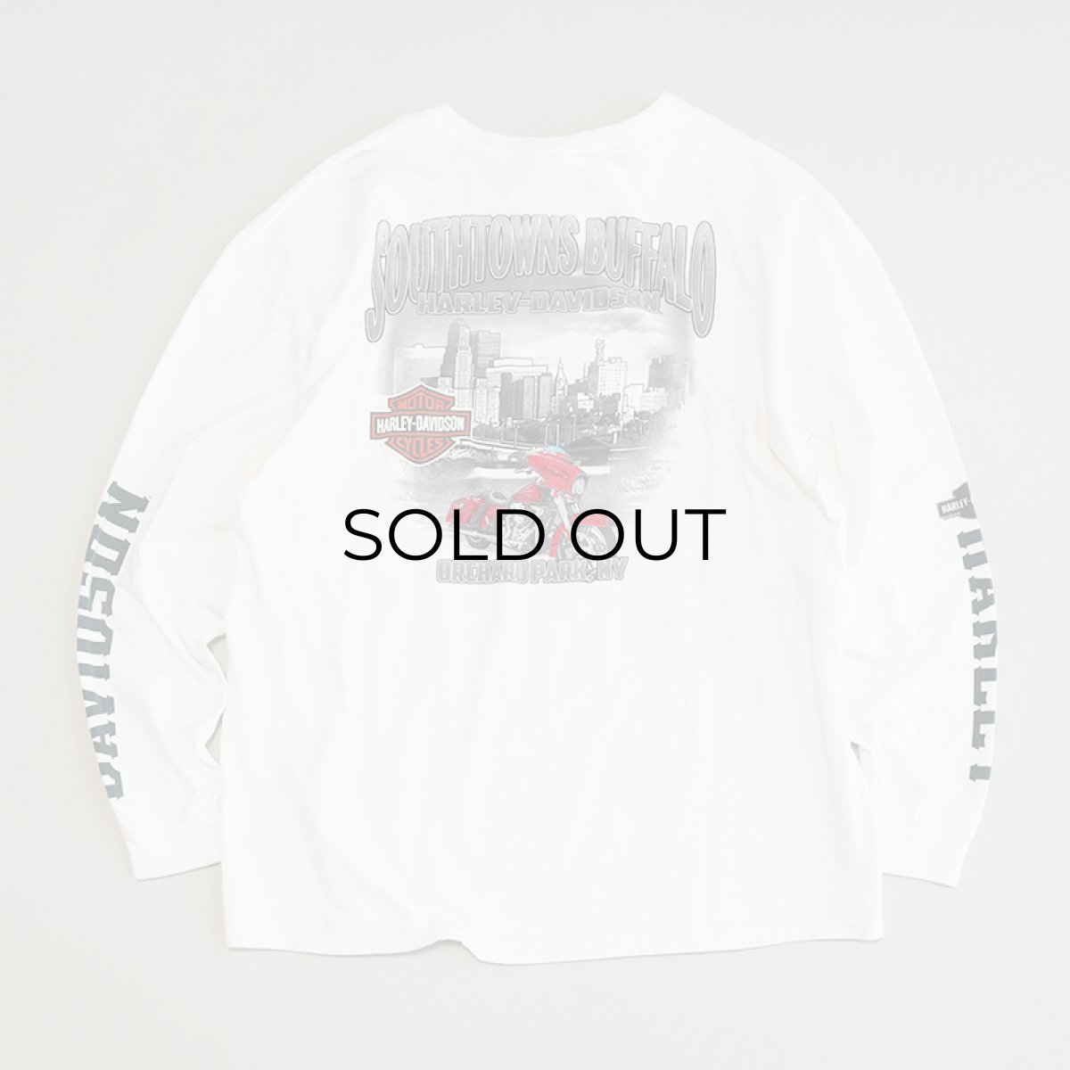 画像3: HARLEY-DAVIDSON COTTON W-PRINT L/S TEE "SOUTHTOWNS BUFFALO" (3)