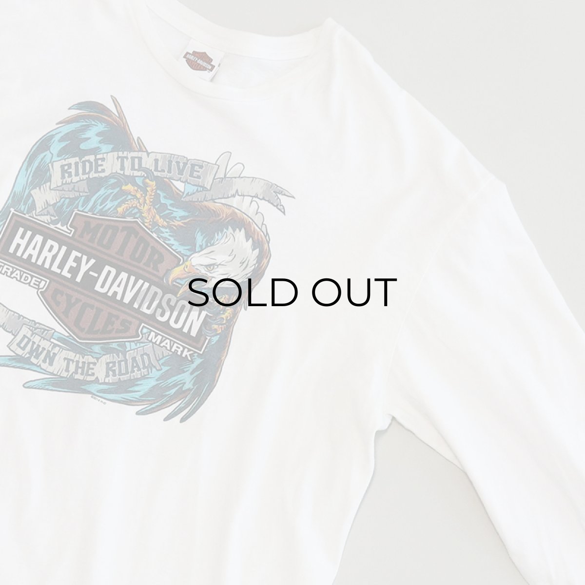 画像4: HARLEY-DAVIDSON COTTON W-PRINT L/S TEE "SOUTHTOWNS BUFFALO" (4)