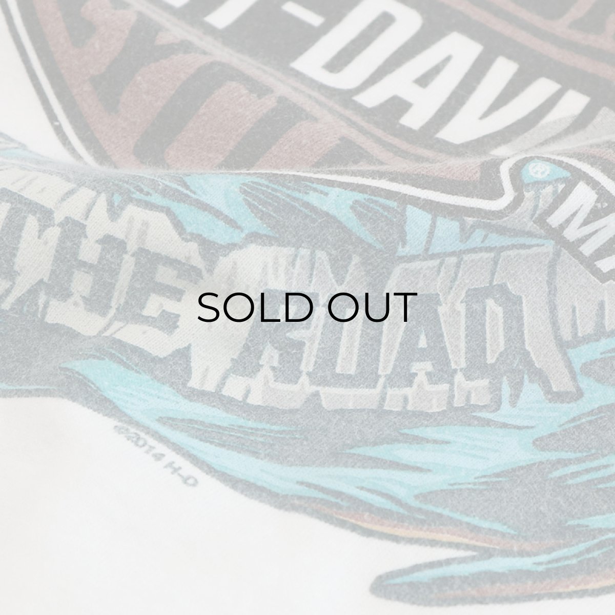 画像9: HARLEY-DAVIDSON COTTON W-PRINT L/S TEE "SOUTHTOWNS BUFFALO" (9)