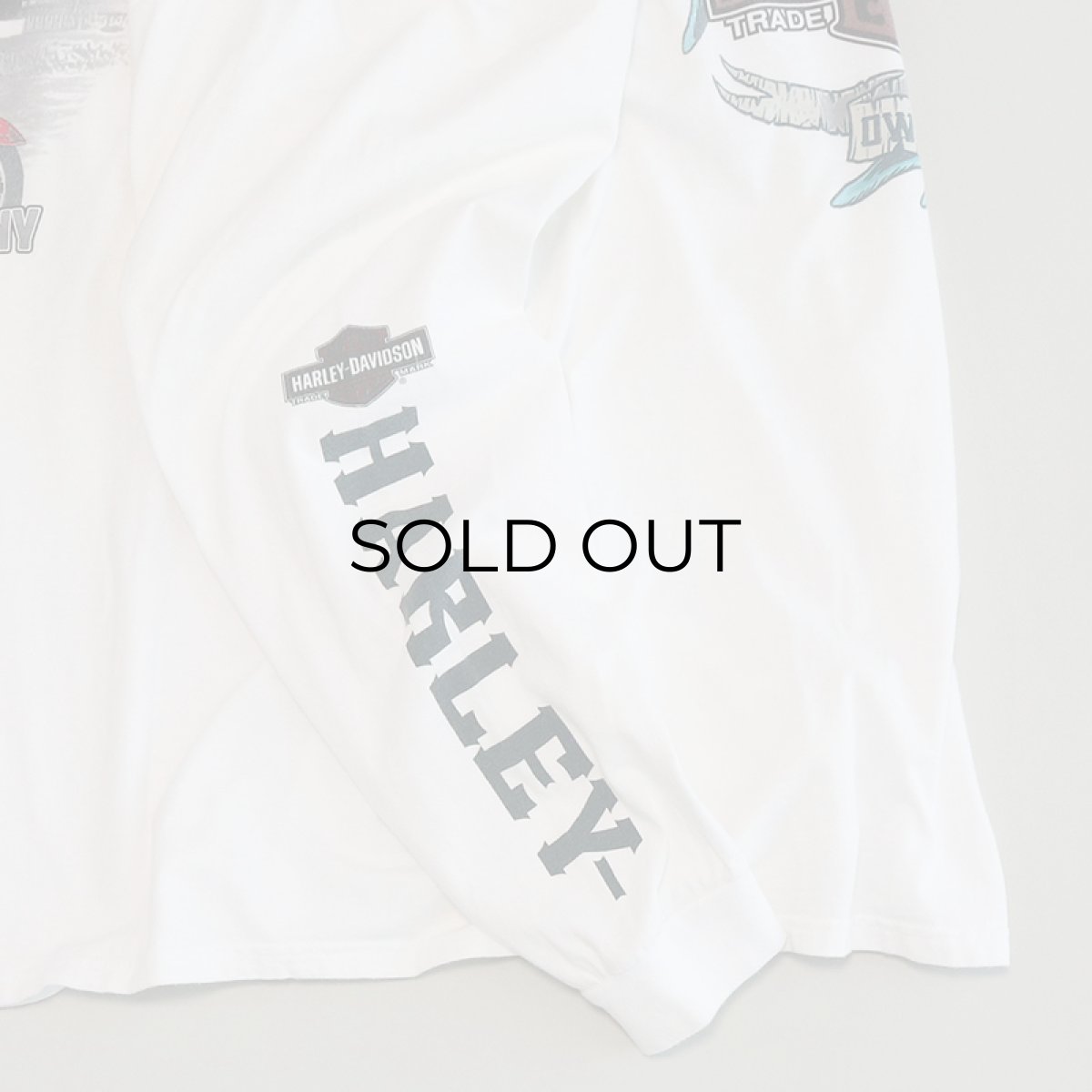 画像5: HARLEY-DAVIDSON COTTON W-PRINT L/S TEE "SOUTHTOWNS BUFFALO" (5)