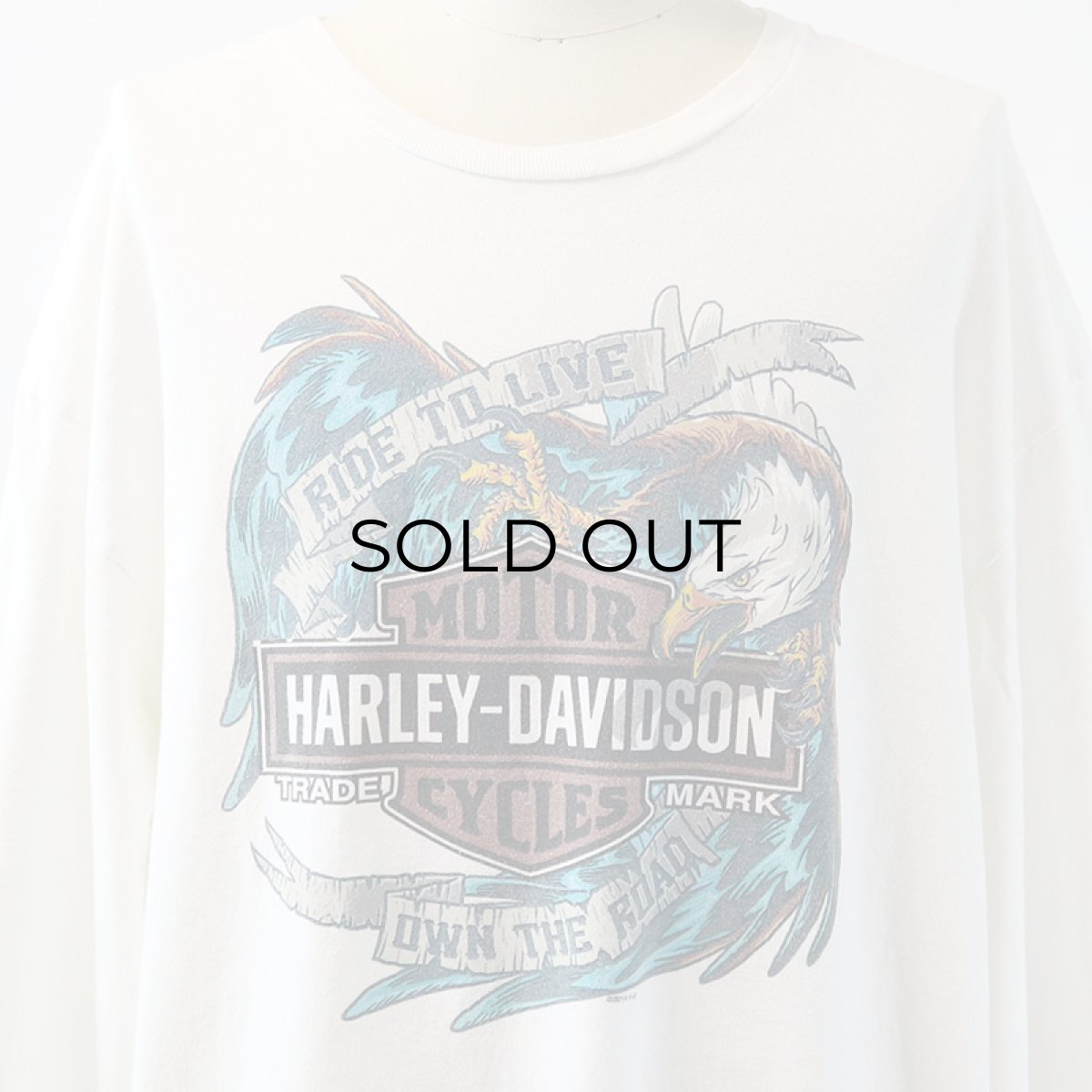 画像12: HARLEY-DAVIDSON COTTON W-PRINT L/S TEE "SOUTHTOWNS BUFFALO" (12)
