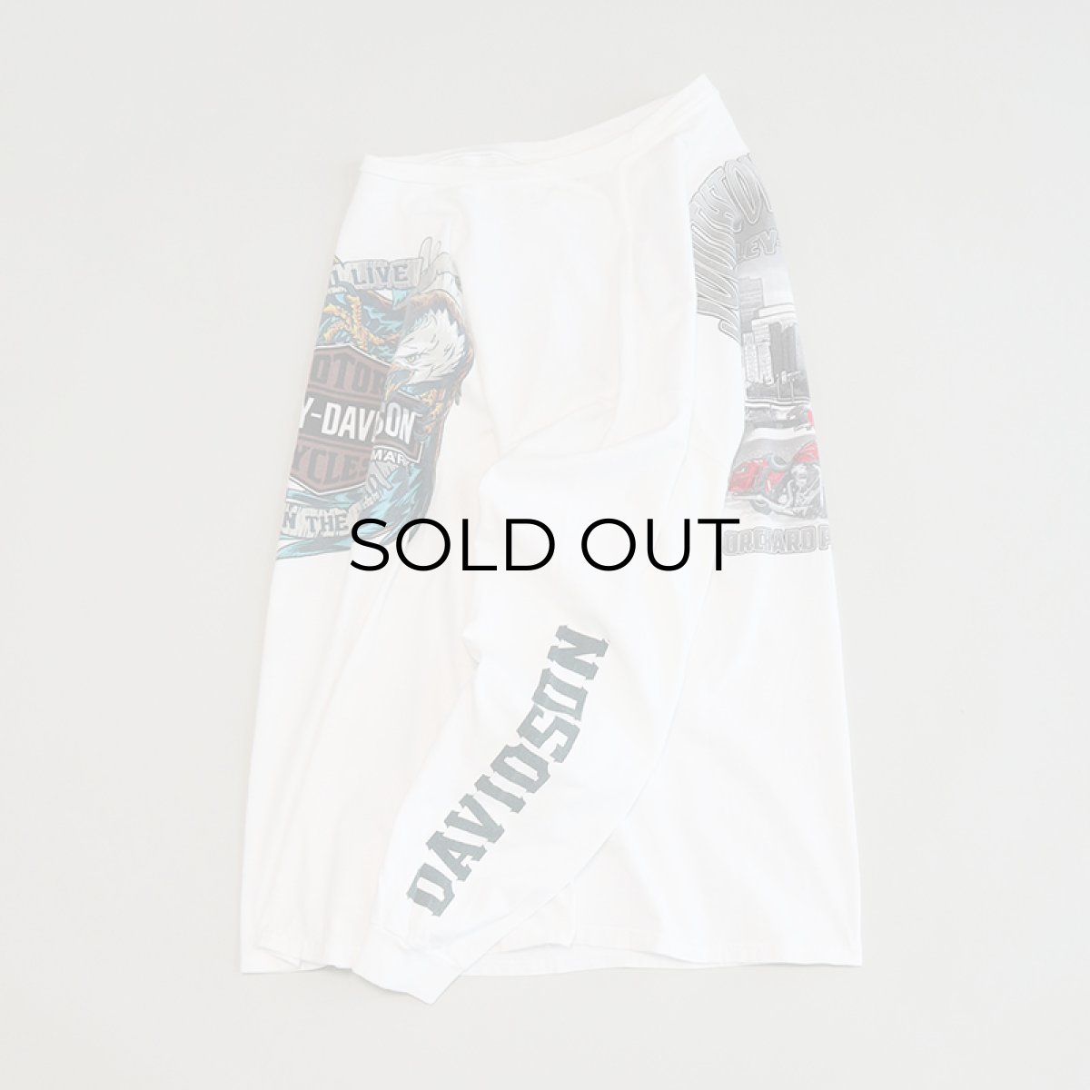 画像2: HARLEY-DAVIDSON COTTON W-PRINT L/S TEE "SOUTHTOWNS BUFFALO" (2)