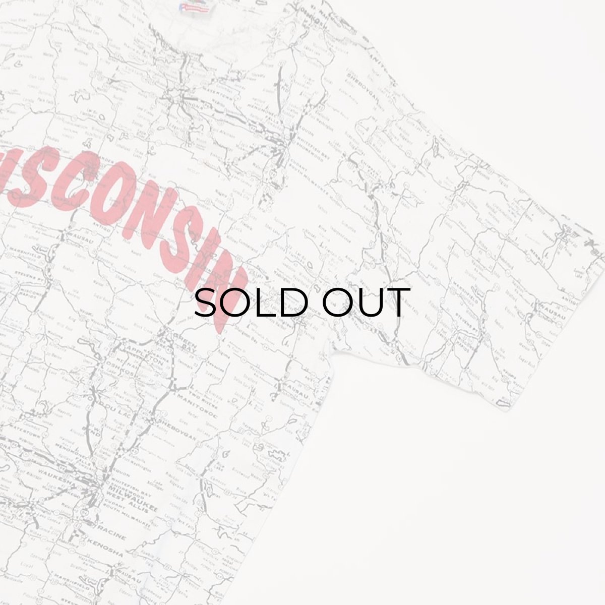 画像4: 80's FRUIT OF THE LOOM COTTON ALL OVER PRINT S/S TEE "WISCONSIN" (4)