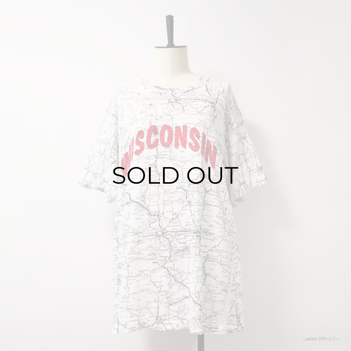 画像10: 80's FRUIT OF THE LOOM COTTON ALL OVER PRINT S/S TEE "WISCONSIN" (10)