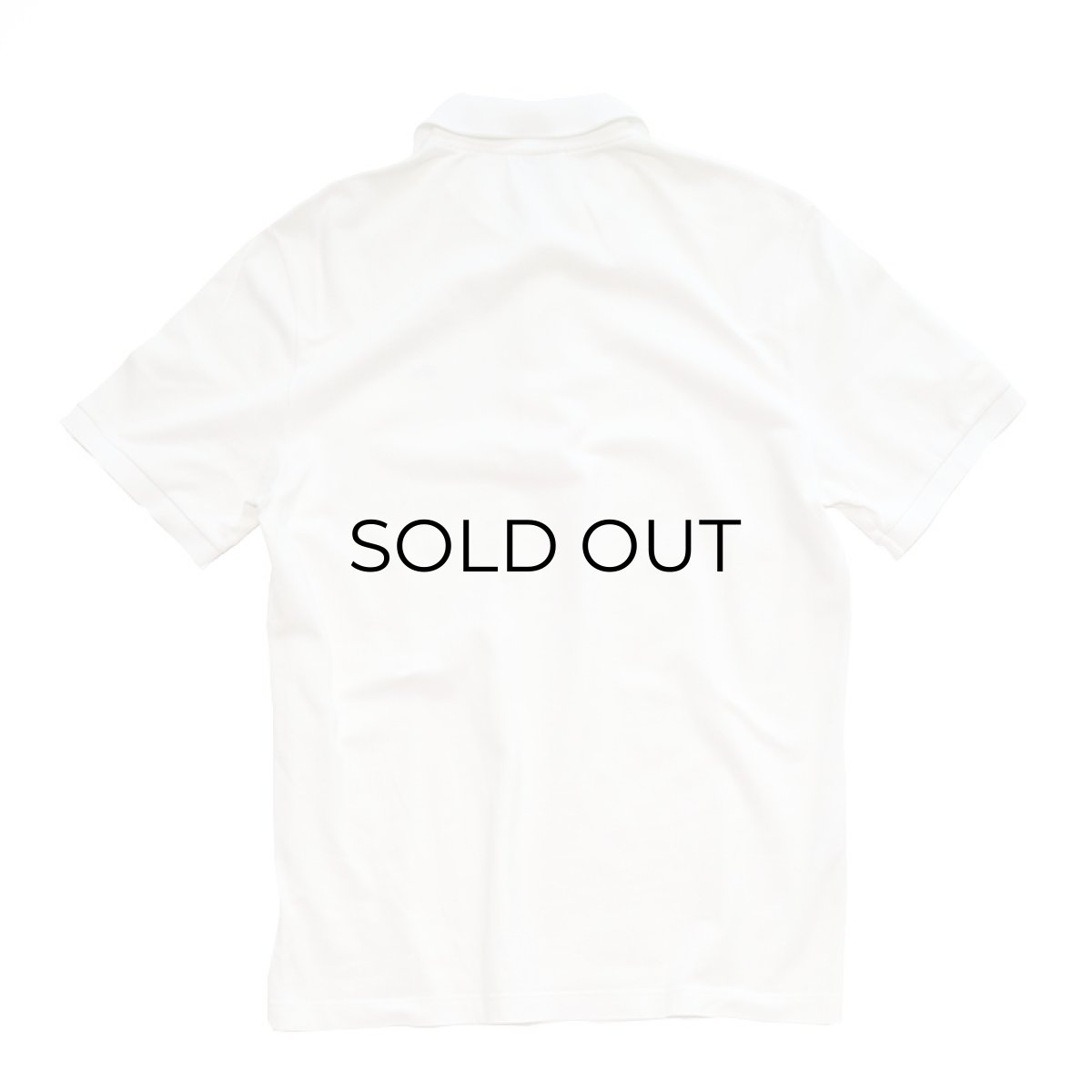 画像2: LACOSTE COTTON MOSS STITCH S/S POLO SHIRT (2)