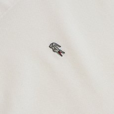 画像5: LACOSTE COTTON MOSS STITCH S/S POLO SHIRT (5)