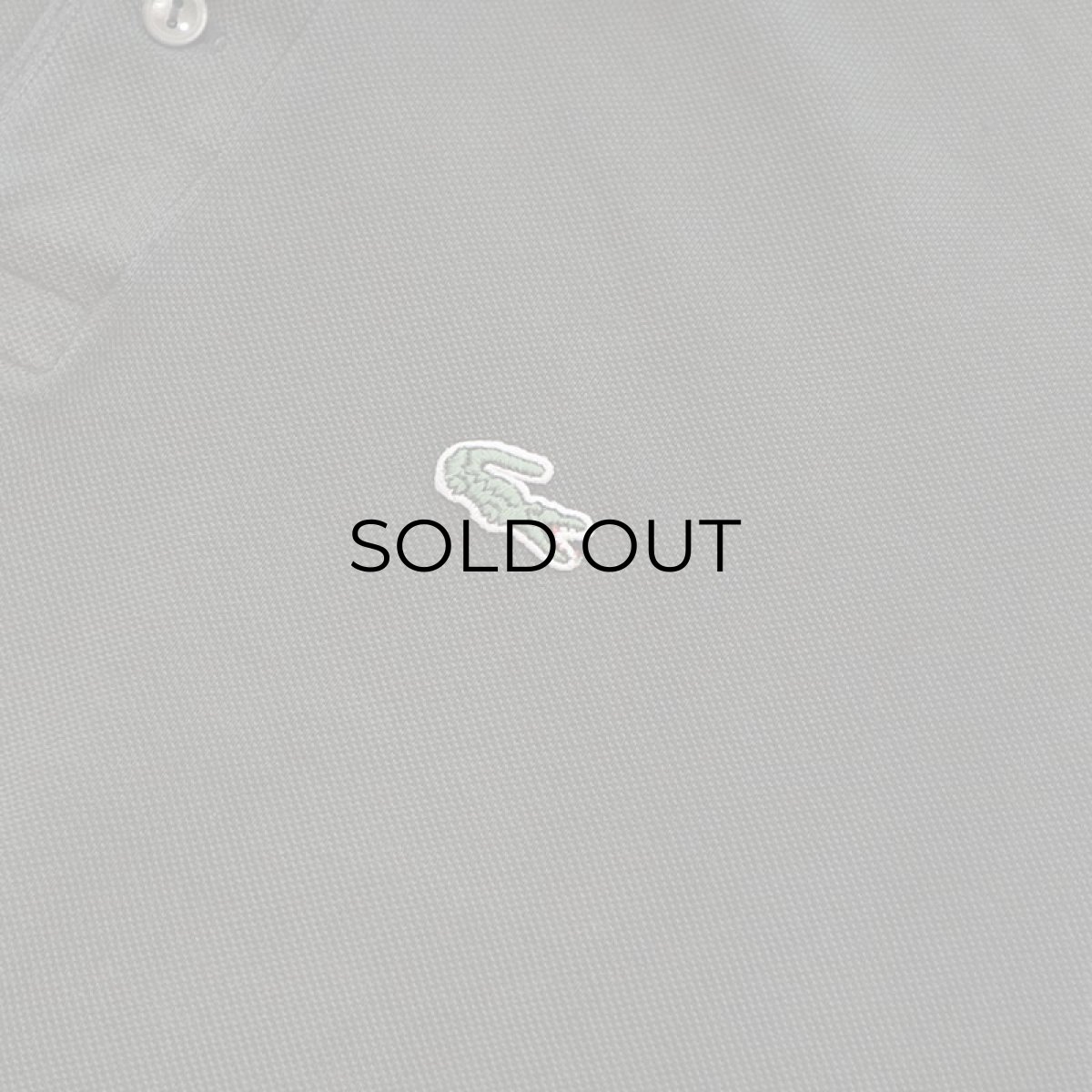 画像5: LACOSTE COTTON MOSS STITCH S/S POLO SHIRT (5)