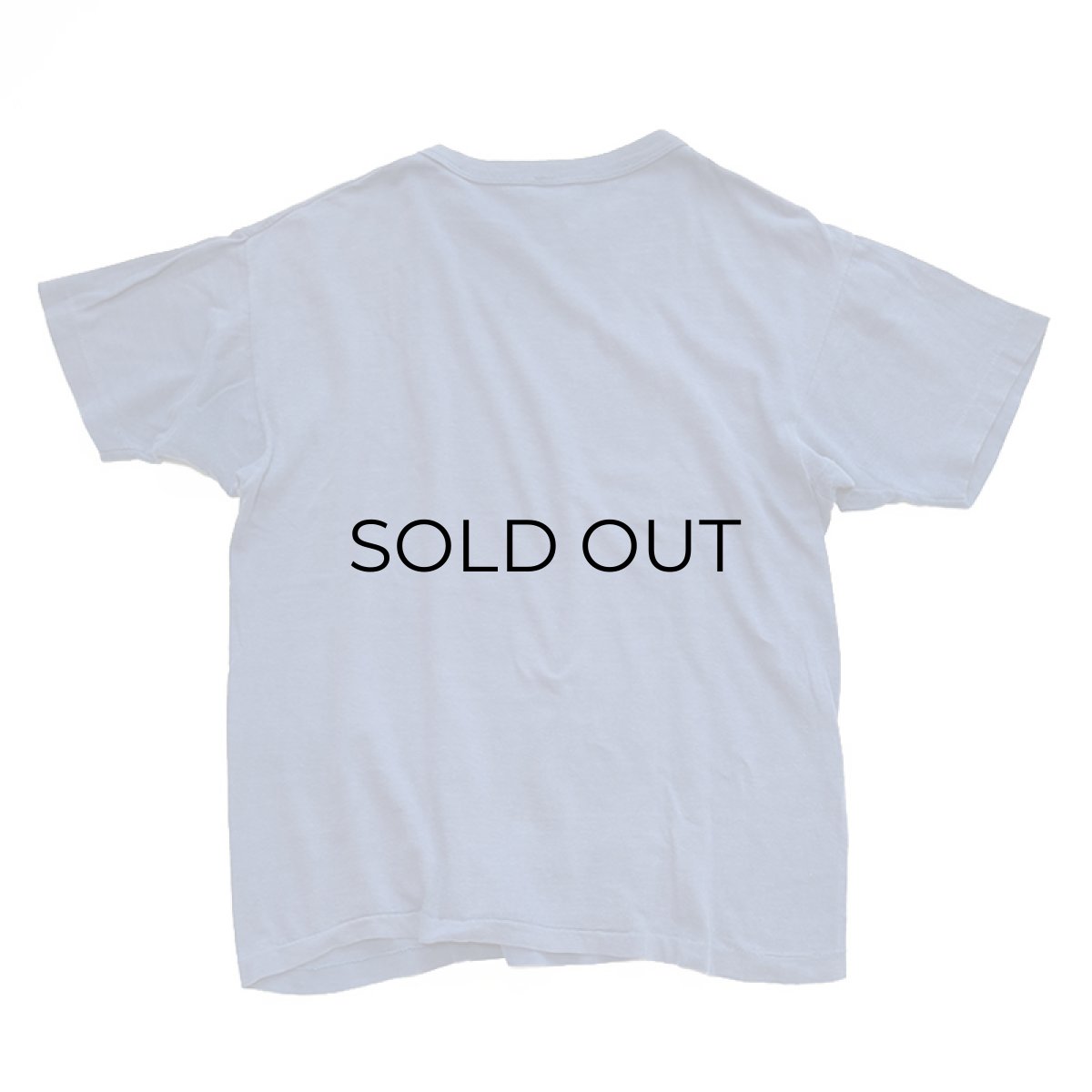 画像2: 80's Champion COTTON FLOCK PRINT S/S TEE "PLATTSBURGH" (2)