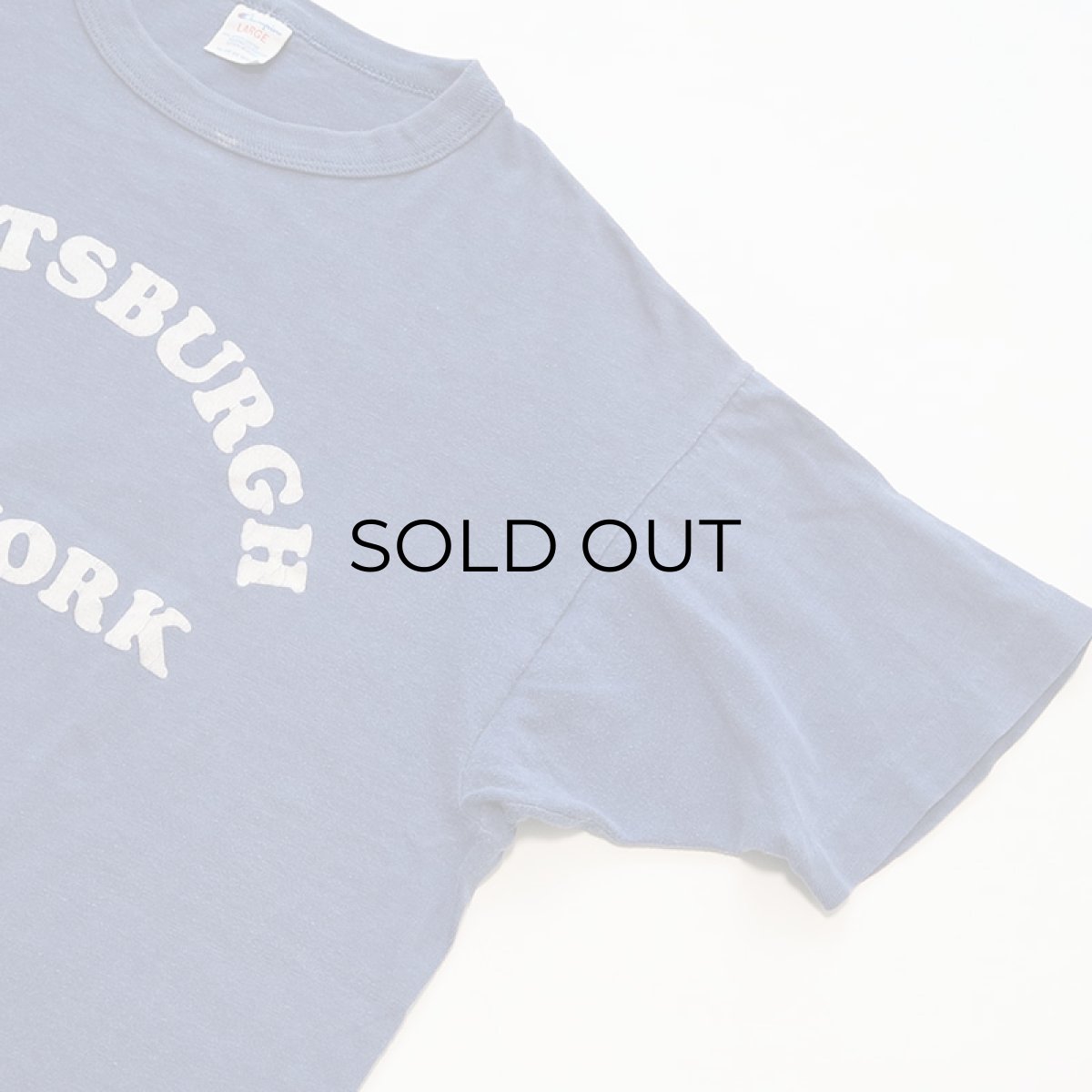 画像3: 80's Champion COTTON FLOCK PRINT S/S TEE "PLATTSBURGH" (3)