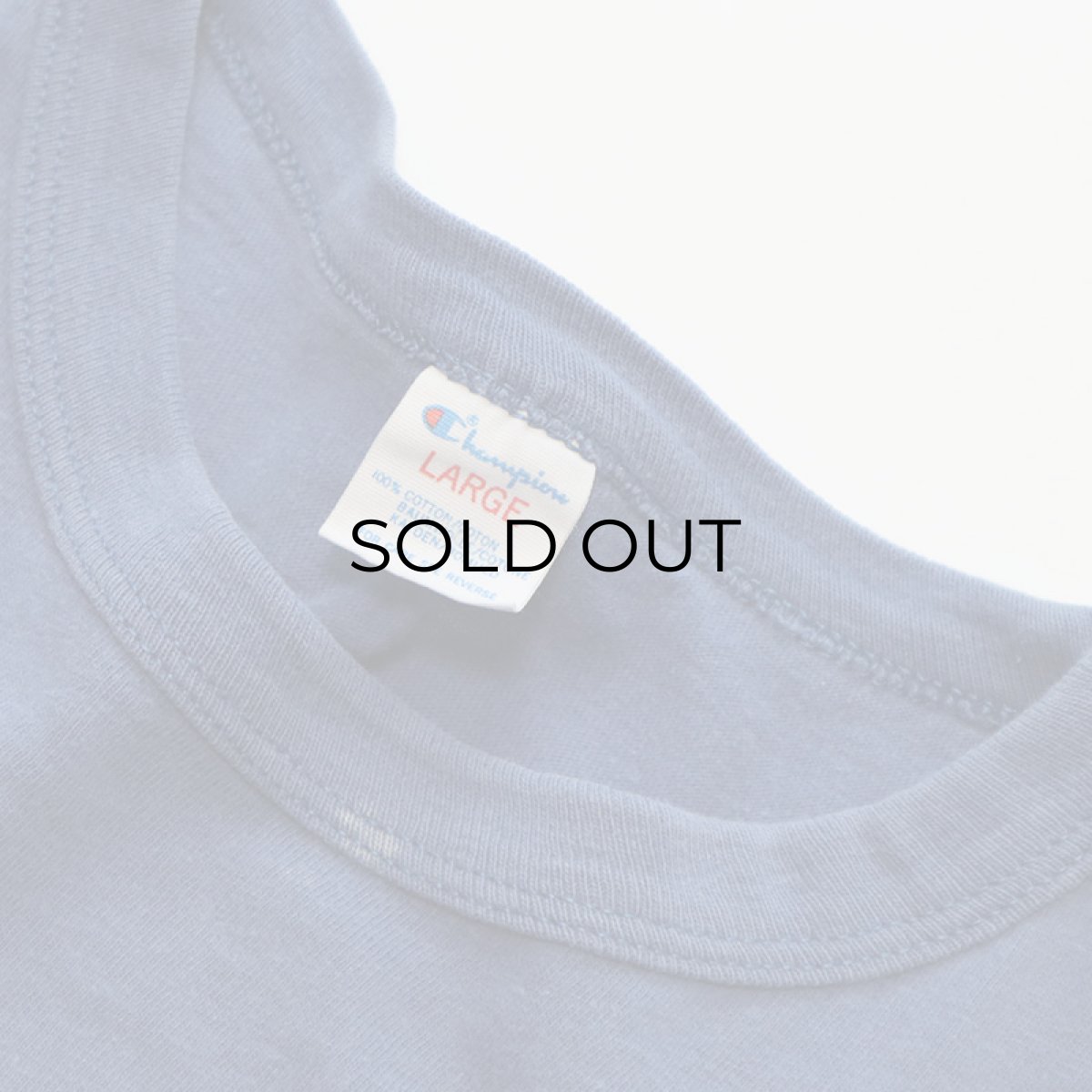 画像4: 80's Champion COTTON FLOCK PRINT S/S TEE "PLATTSBURGH" (4)