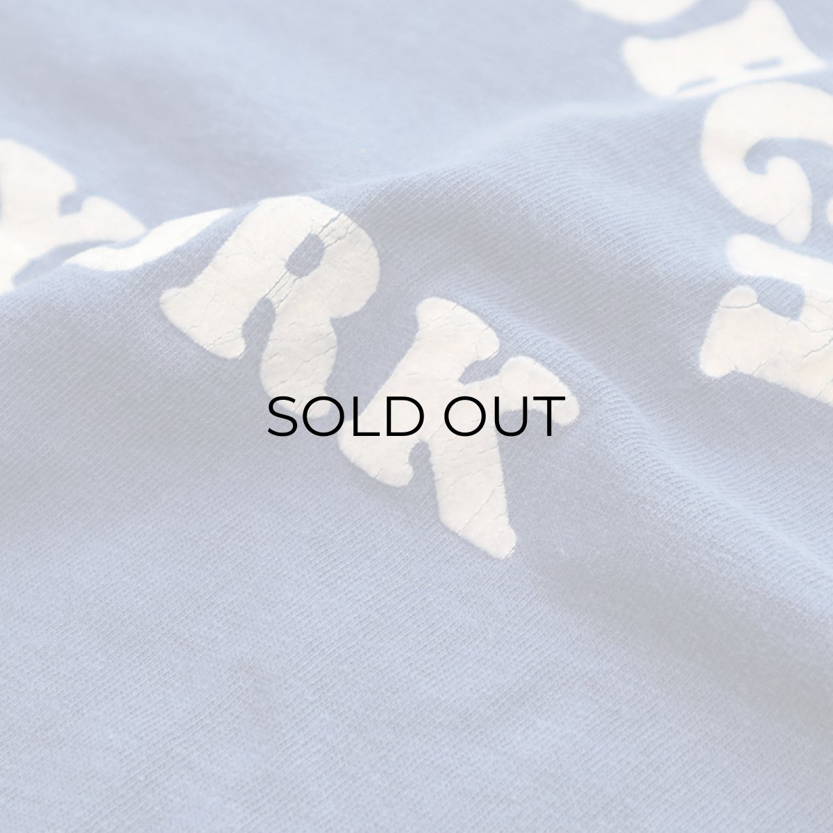 画像5: 80's Champion COTTON FLOCK PRINT S/S TEE "PLATTSBURGH" (5)