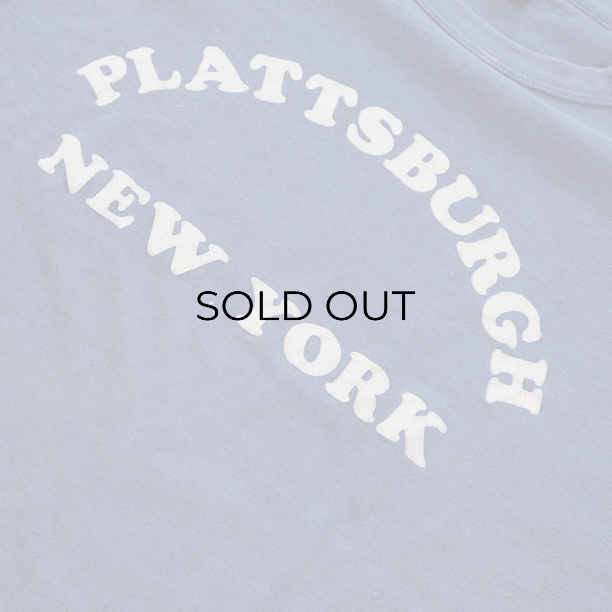 画像6: 80's Champion COTTON FLOCK PRINT S/S TEE "PLATTSBURGH" (6)