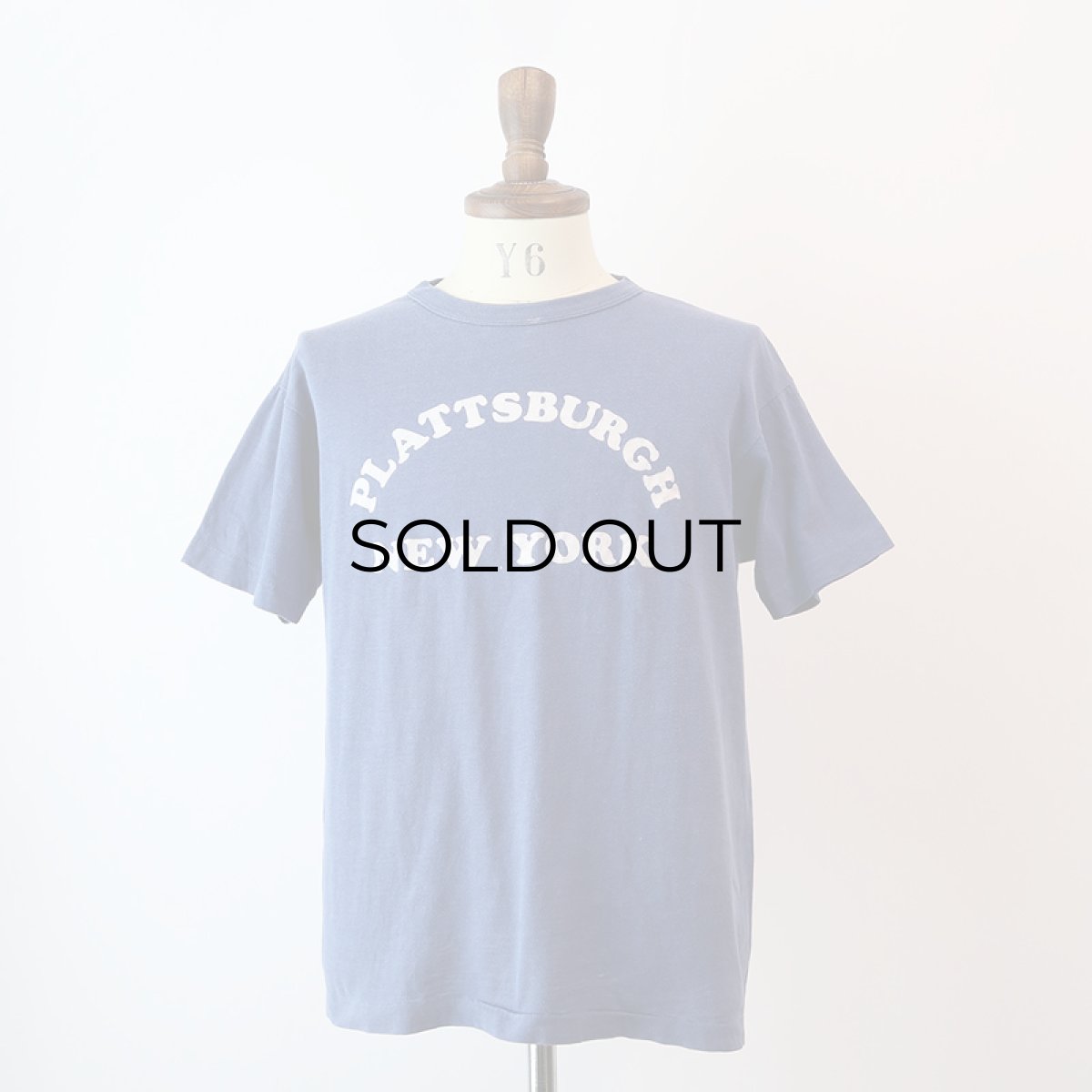 画像7: 80's Champion COTTON FLOCK PRINT S/S TEE "PLATTSBURGH" (7)