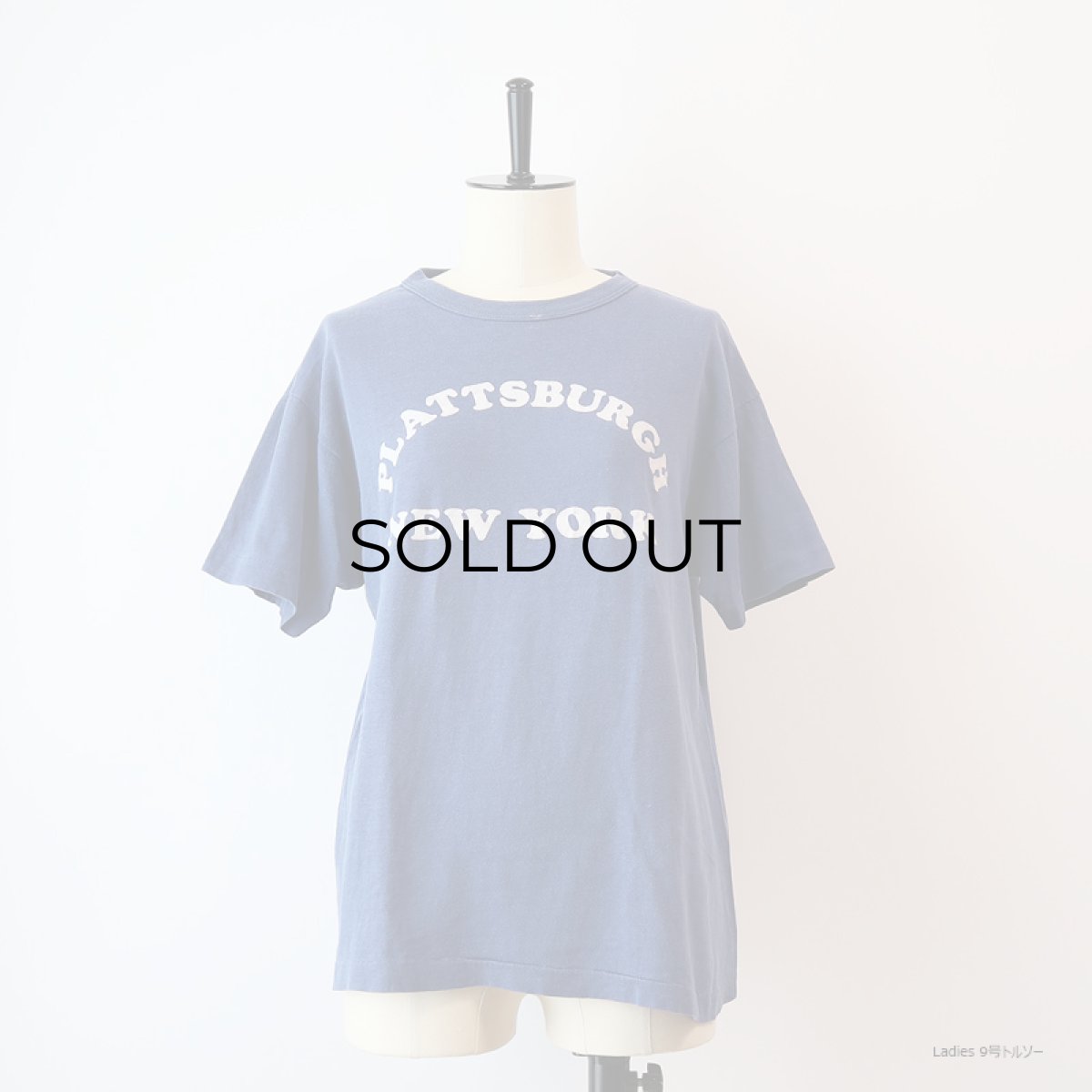 画像10: 80's Champion COTTON FLOCK PRINT S/S TEE "PLATTSBURGH" (10)