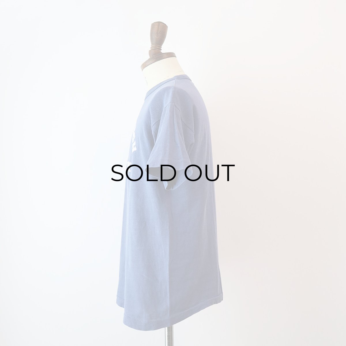 画像8: 80's Champion COTTON FLOCK PRINT S/S TEE "PLATTSBURGH" (8)