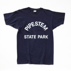 画像1: 70's Champion COTTON PRINT S/S TEE "PIPESTEM STATE PARK" (1)