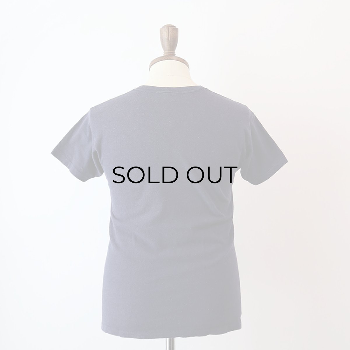 画像10: 70's Champion COTTON PRINT S/S TEE "PIPESTEM STATE PARK" (10)