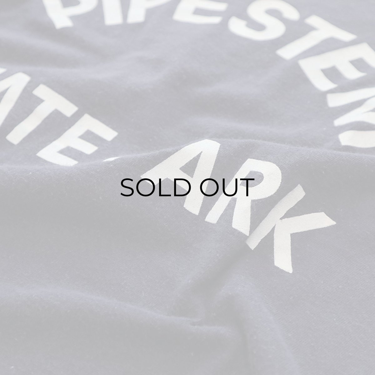 画像5: 70's Champion COTTON PRINT S/S TEE "PIPESTEM STATE PARK" (5)