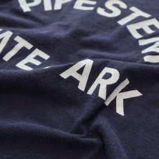 画像5: 70's Champion COTTON PRINT S/S TEE "PIPESTEM STATE PARK" (5)