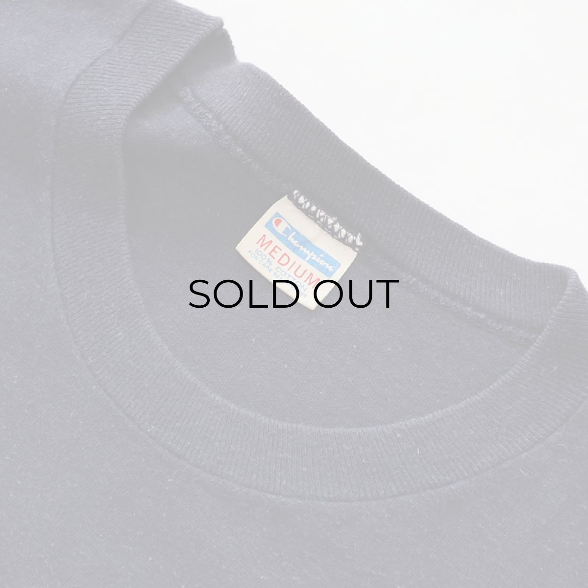 画像4: 70's Champion COTTON PRINT S/S TEE "PIPESTEM STATE PARK" (4)