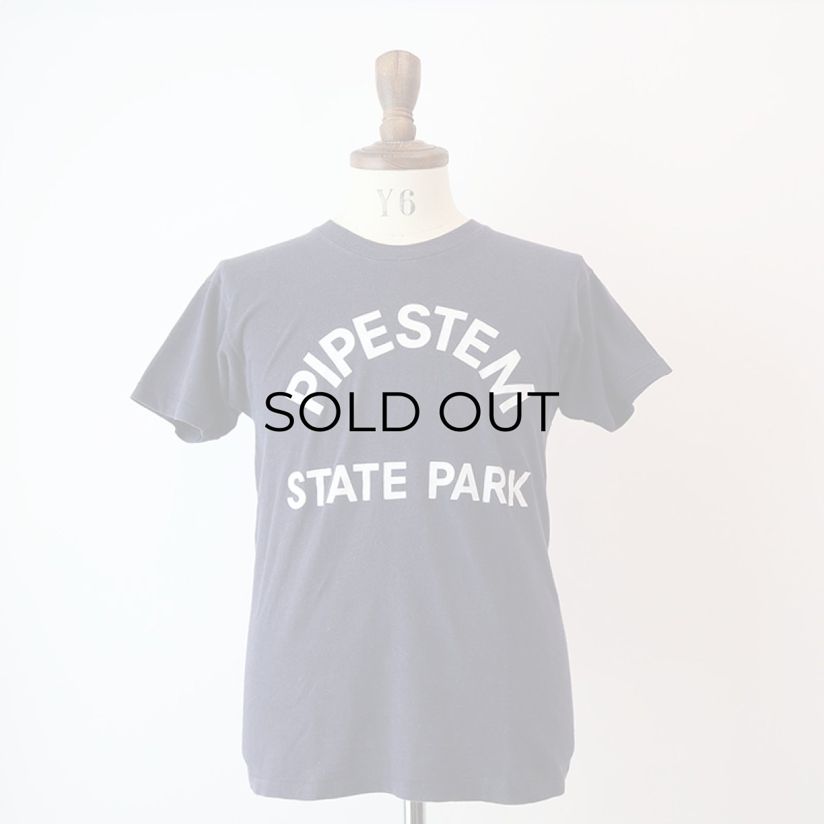 画像8: 70's Champion COTTON PRINT S/S TEE "PIPESTEM STATE PARK" (8)