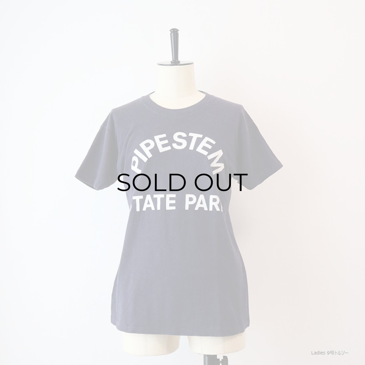 画像11: 70's Champion COTTON PRINT S/S TEE "PIPESTEM STATE PARK" (11)