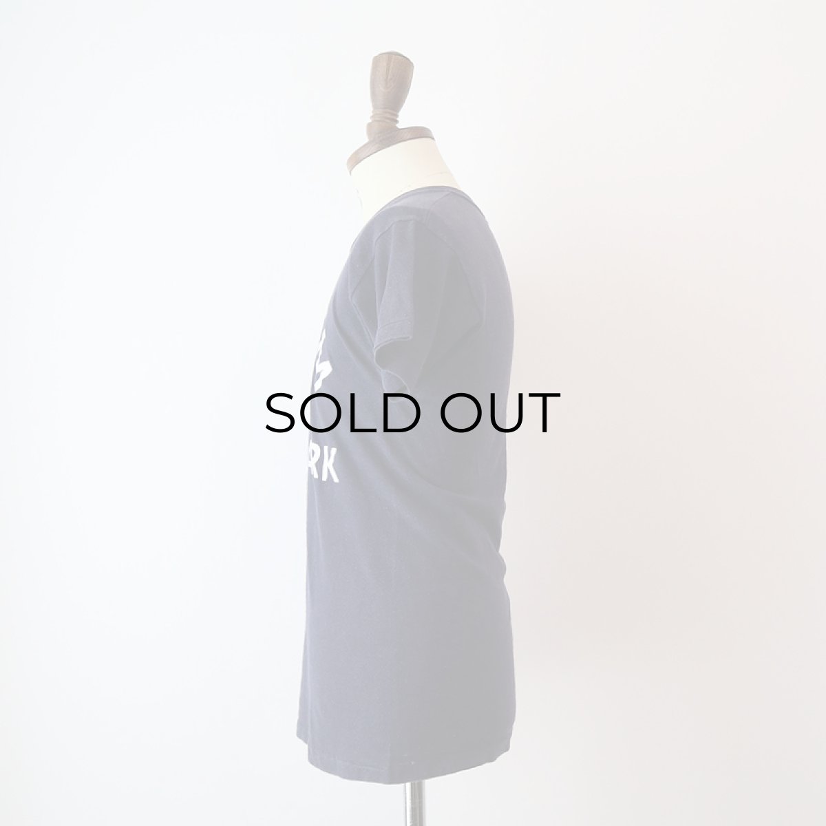 画像9: 70's Champion COTTON PRINT S/S TEE "PIPESTEM STATE PARK" (9)