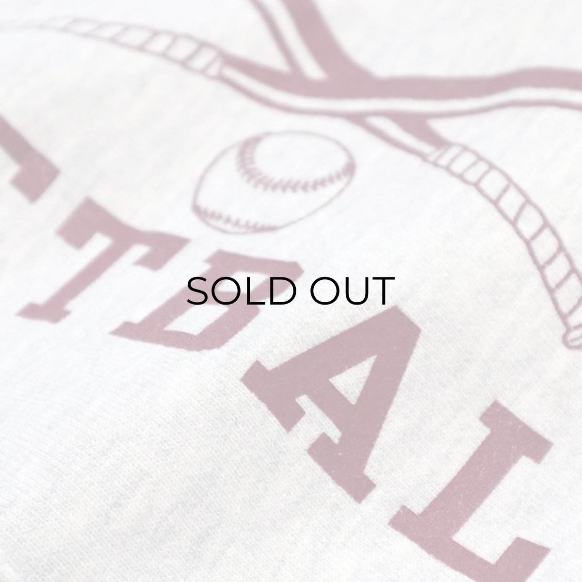 画像12: Champion REVERSE WEAVE PRINT SWEAT PULLOVER PARKA "SOUTHAMPTON SOFTBALL" (12)