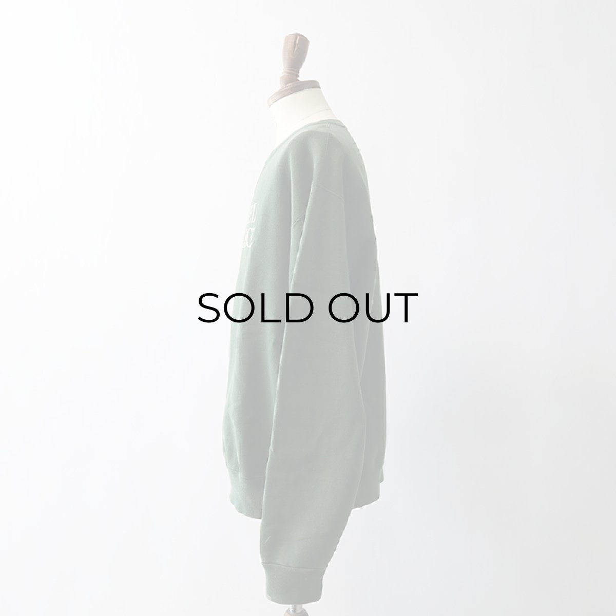 画像15: 90's Champion PRINT CREW NECK SWEAT "BETHEL COLLEGE" "MADE IN USA" (15)