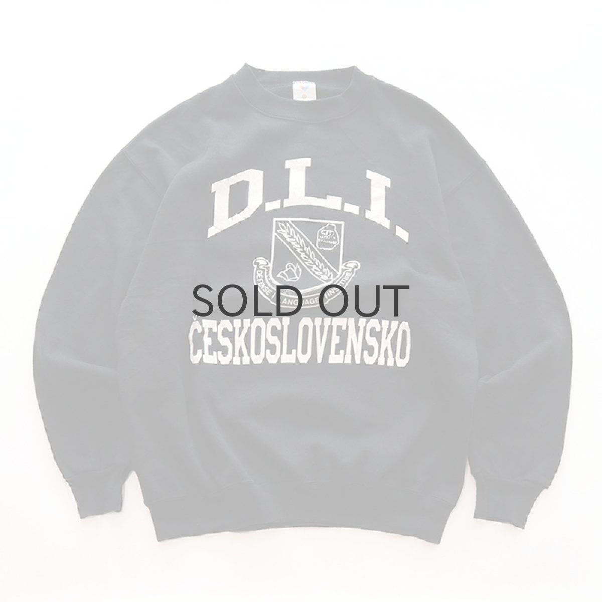 画像1: 〜90's Jostens PRINT CREW NECK SWEAT "D.L.I. CESKOSLOVENSKO" "MADE IN USA" (1)