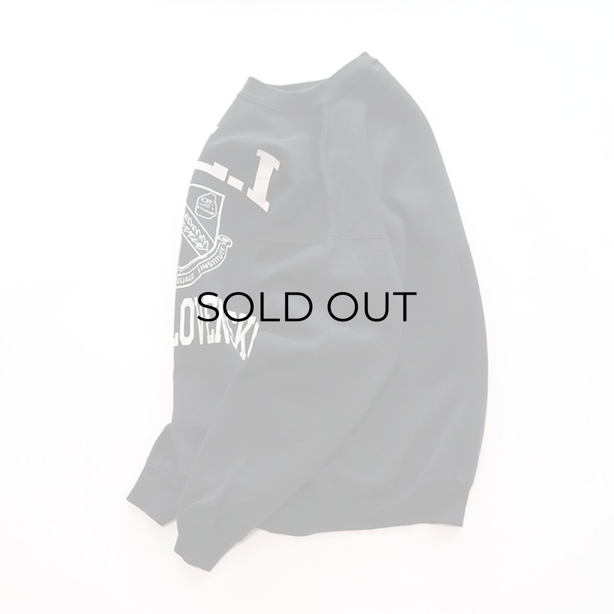 画像2: 〜90's Jostens PRINT CREW NECK SWEAT "D.L.I. CESKOSLOVENSKO" "MADE IN USA" (2)