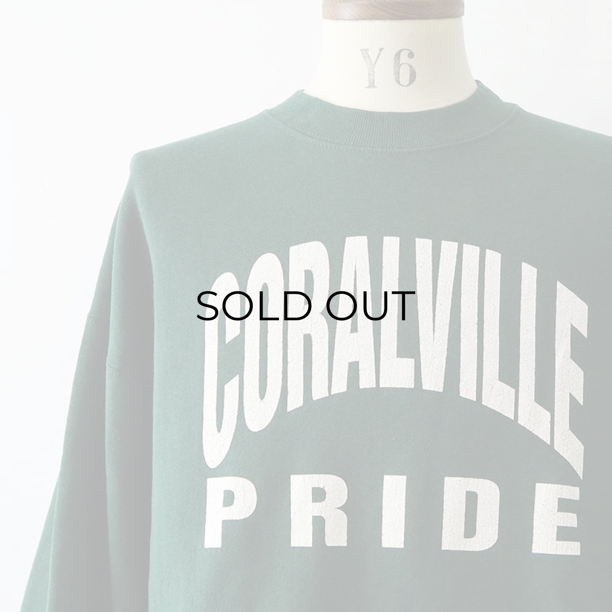 画像5: 〜90's FRUIT OF THE LOOM W-PRINT CREW NECK SWEAT "CORALVILLE PRIDE" "MADE IN USA" (5)