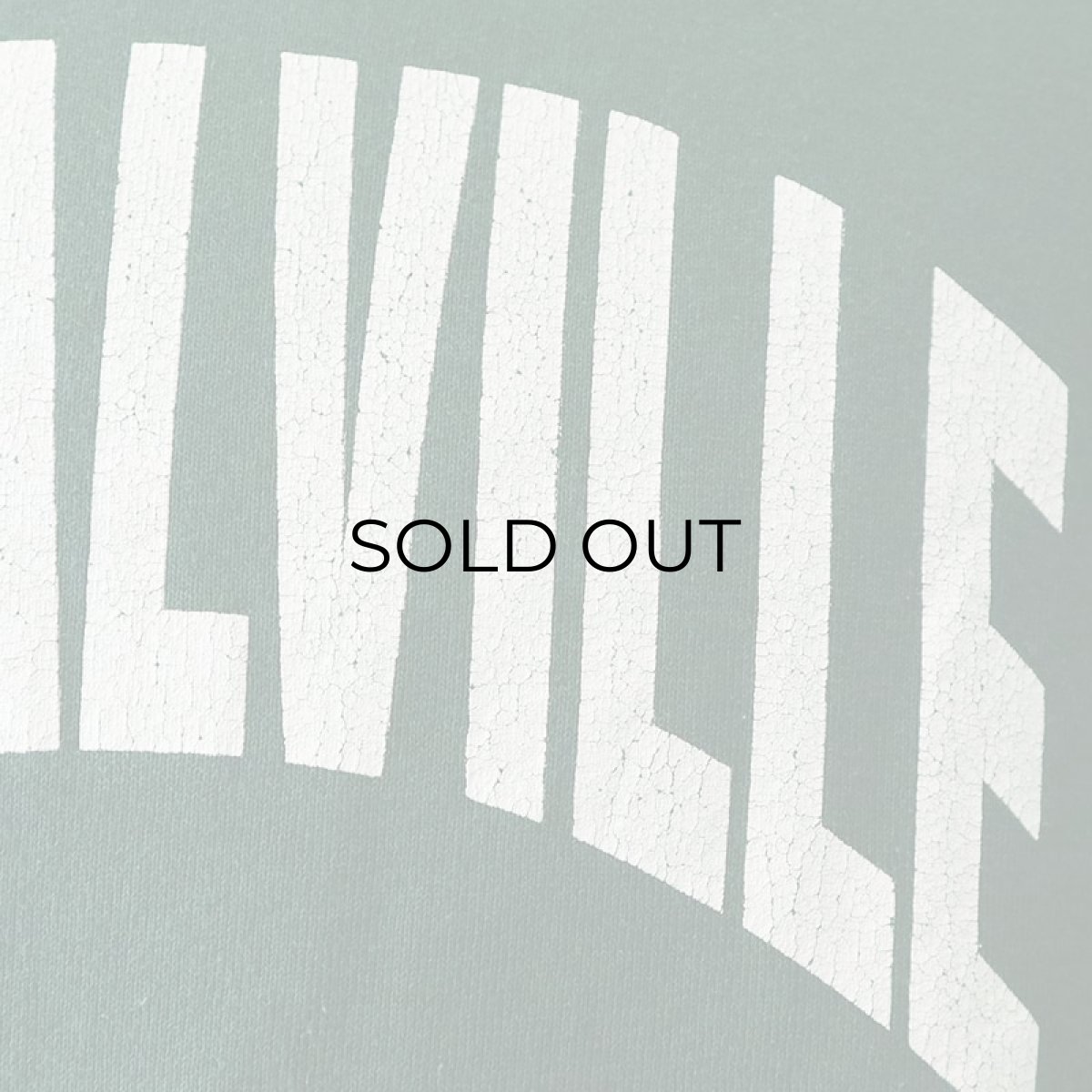 画像8: 〜90's FRUIT OF THE LOOM W-PRINT CREW NECK SWEAT "CORALVILLE PRIDE" "MADE IN USA" (8)