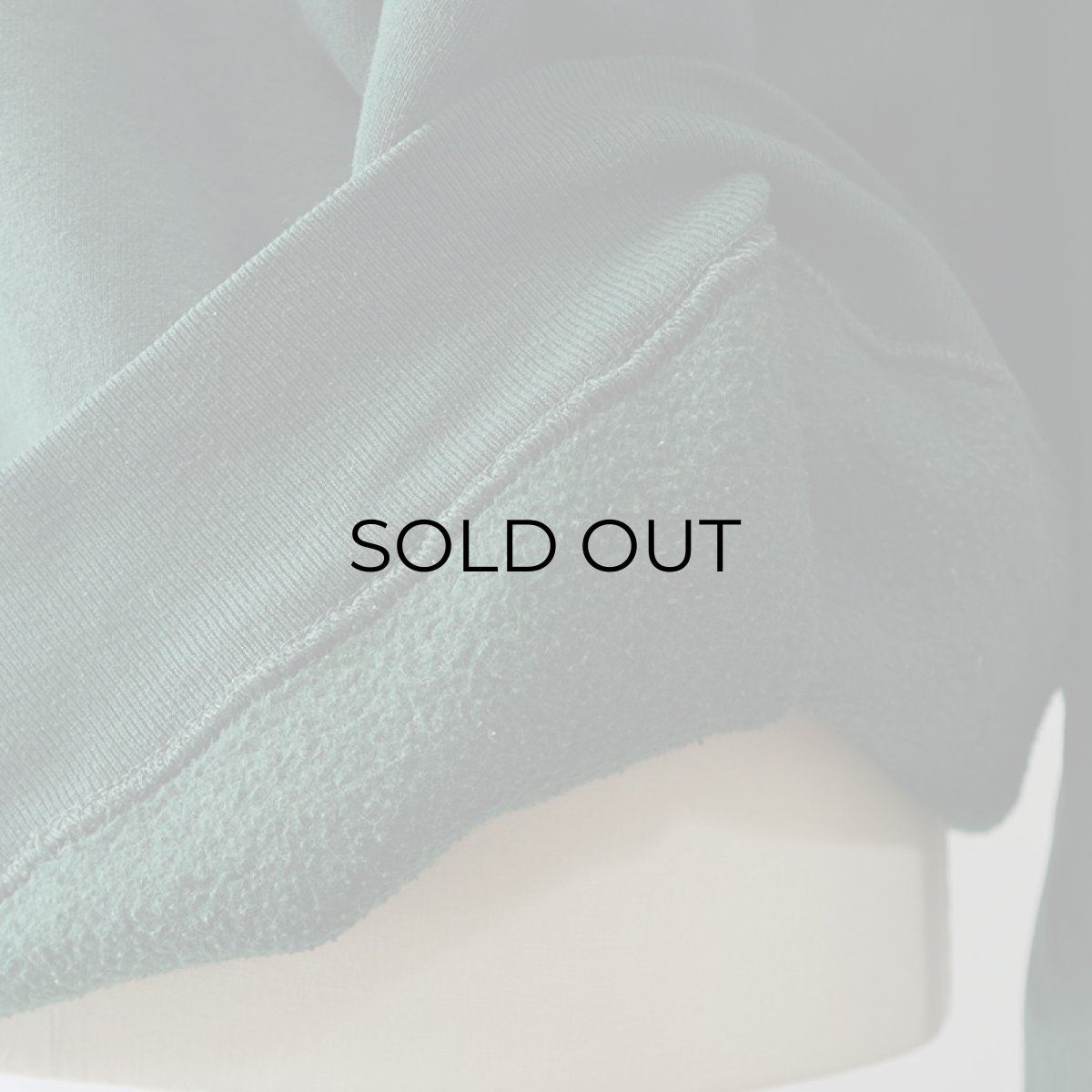 画像9: 〜90's FRUIT OF THE LOOM W-PRINT CREW NECK SWEAT "CORALVILLE PRIDE" "MADE IN USA" (9)