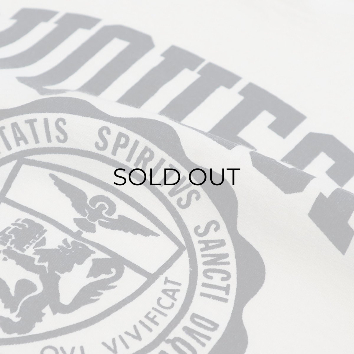 画像5: 80's Champion COTTON PRINT S/S TEE "DUQUESNE UNIVERSITY" (5)