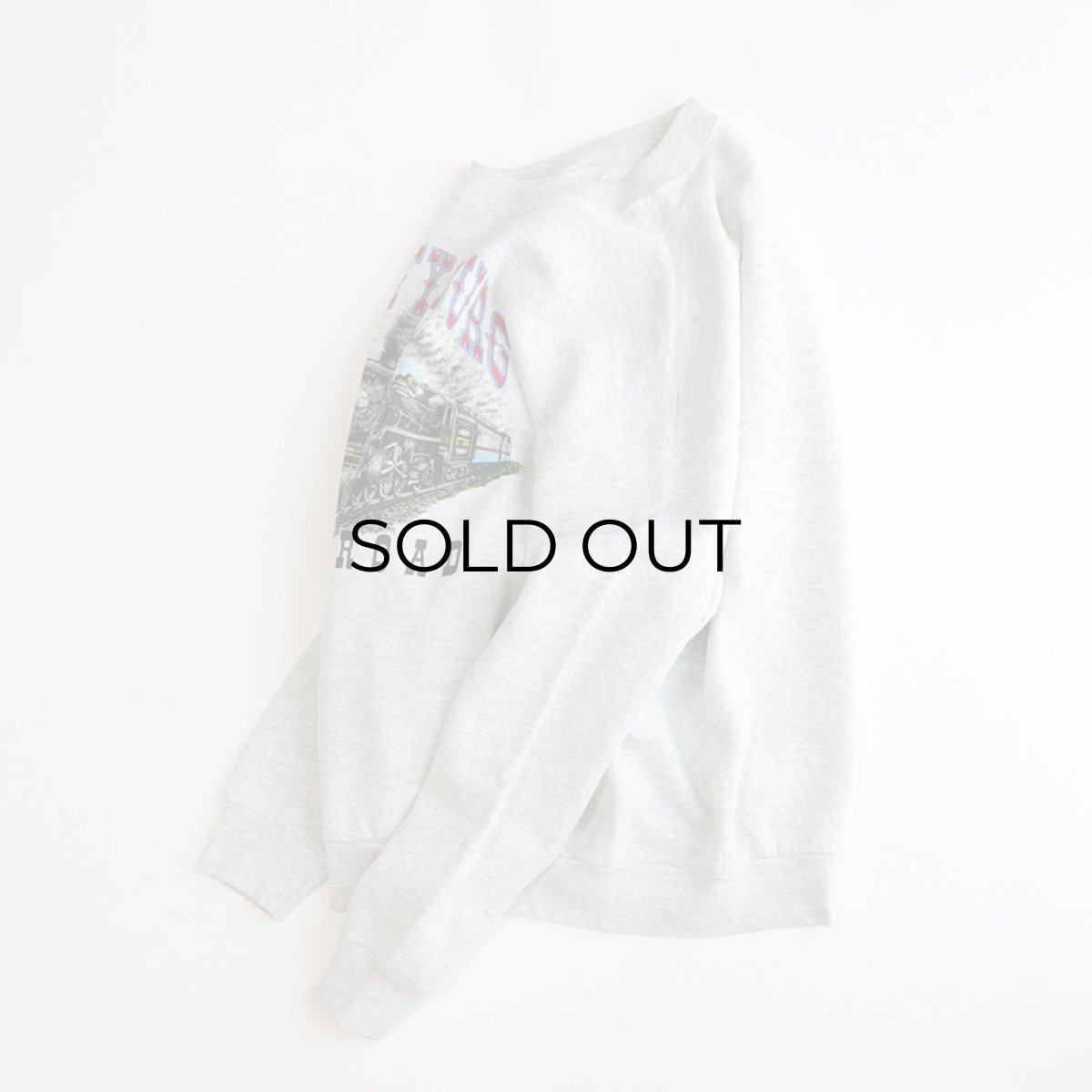 画像2: 90's UNKNOWN BRAND PRINT CREW NECK SWEAT "GETTYSBURG" (2)