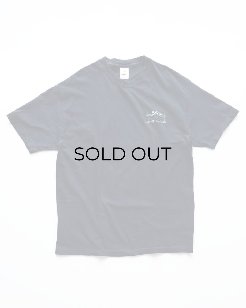 画像1: 00's DIAMOND STAR COTTON EMBROIDERED S/S TEE "JASPER, CANADA" (1)