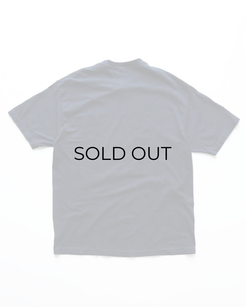 画像2: 00's DIAMOND STAR COTTON EMBROIDERED S/S TEE "JASPER, CANADA" (2)