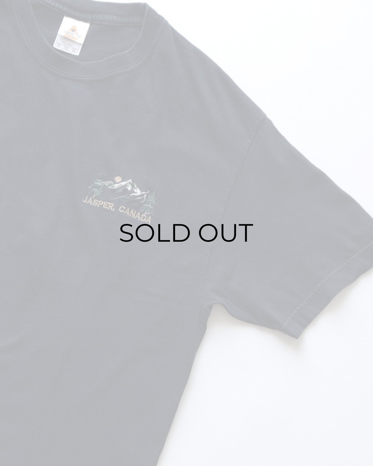 画像3: 00's DIAMOND STAR COTTON EMBROIDERED S/S TEE "JASPER, CANADA" (3)