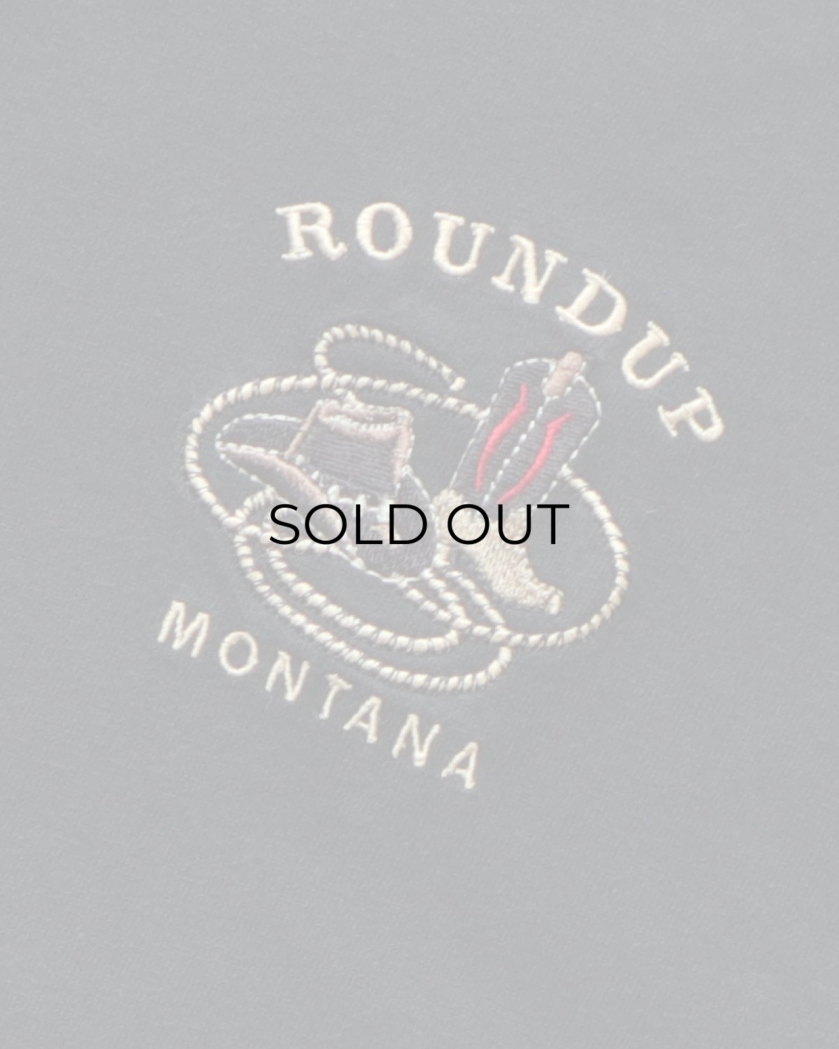 画像4: 00's Hanes COTTON EMBROIDERED S/S TEE "ROUNDUP MONTANA" (4)