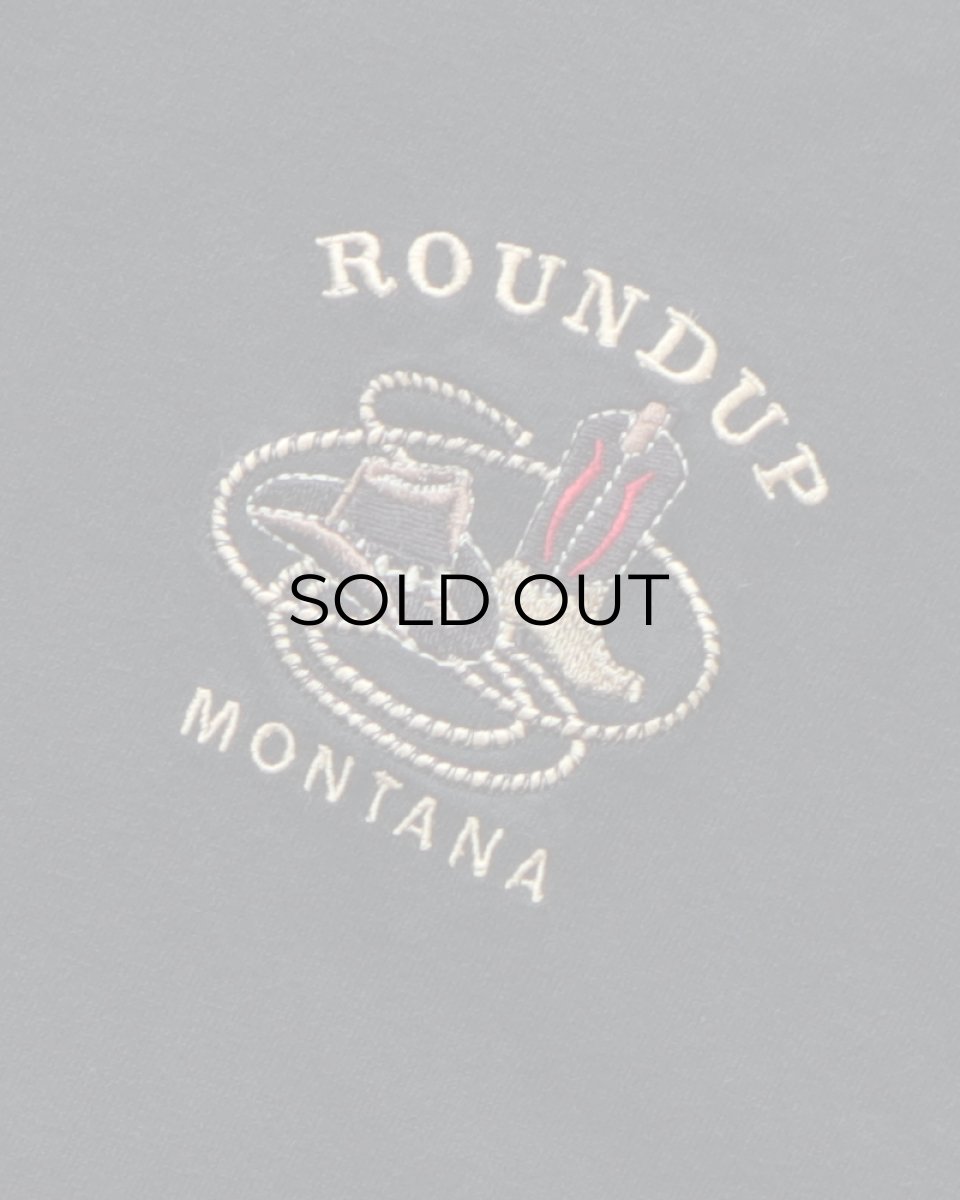 画像4: 00's Hanes COTTON EMBROIDERED S/S TEE "ROUNDUP MONTANA" (4)
