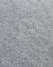 画像7: 90's Champion COTTON RAYON SCRIPT LOGO PRINT S/S TEE "MADE IN USA" (7)