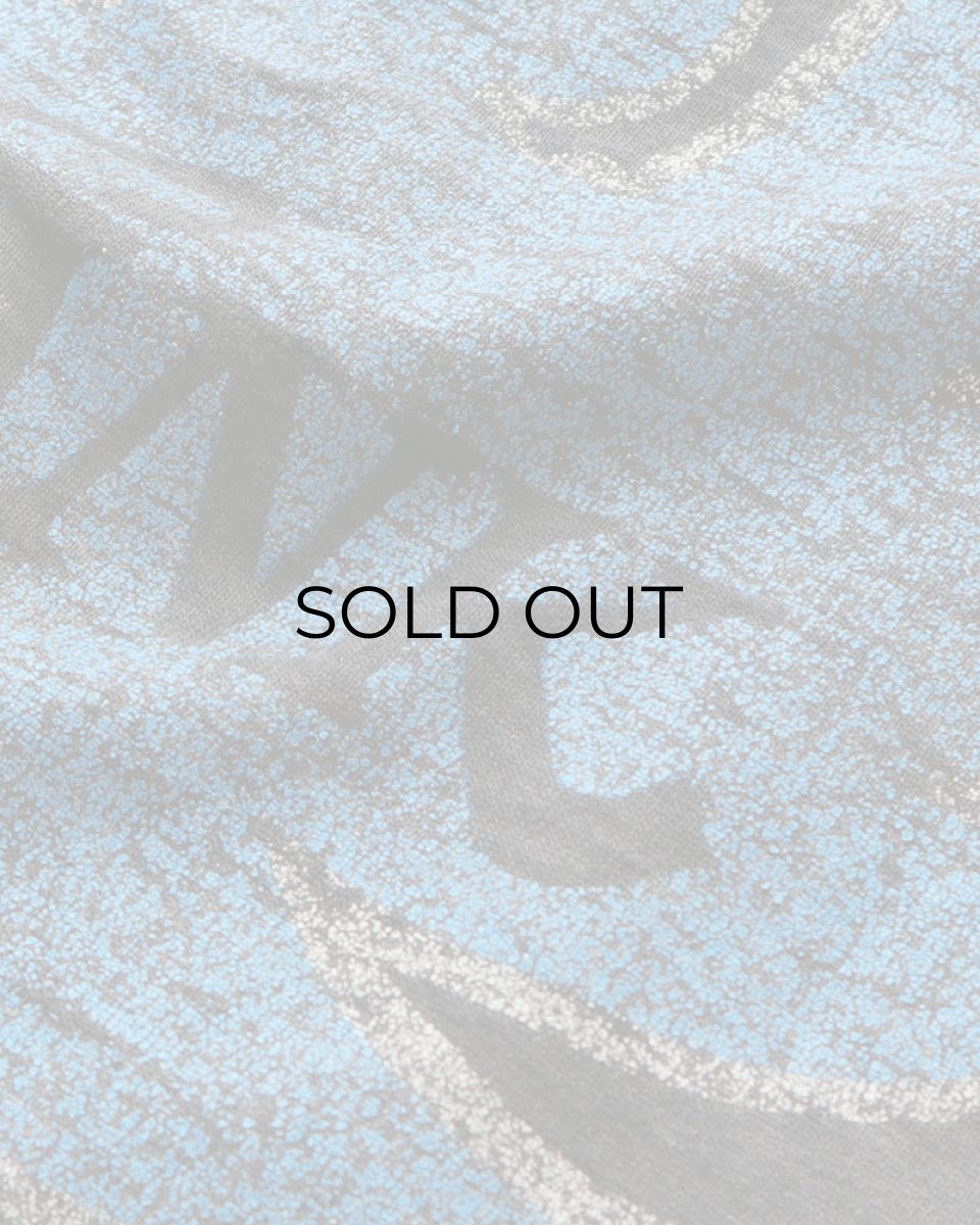 画像7: 80's SCREEN STARS W-PRINT S/S ARTIST TEE "HANK WILLIAMS JR." "MADE IN USA" (7)